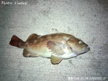 ¥¨¥¾¥á¥Ð¥ë