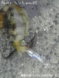 �����ꥤ��