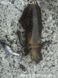 �����ꥤ��