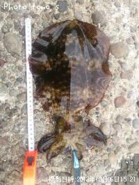 ¥¢¥ª¥ê¥¤¥«