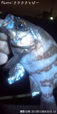 ���ꥢ��Х�