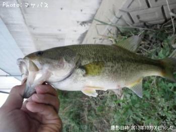 �֥�å��Х�