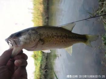 �֥�å��Х�