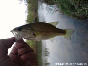 �֥�å��Х�