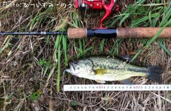 ¥Ö¥é¥Ã¥¯¥Ð¥¹