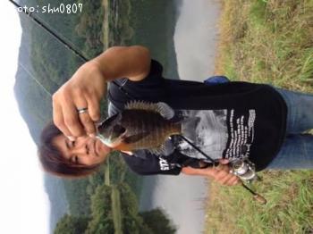 �֥롼����