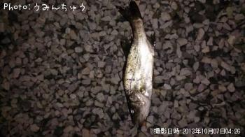 �����Х�