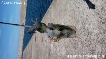 �����ꥤ��