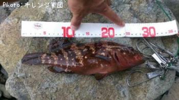 �����ϥ�