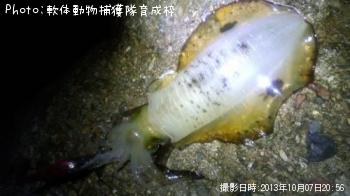 �����ꥤ��