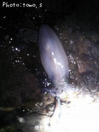 �����ꥤ��