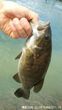 ���⡼��ޥ����Х�