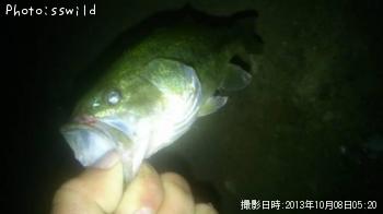 �֥�å��Х�