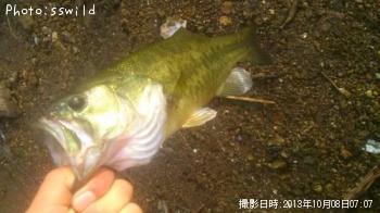 �֥�å��Х�