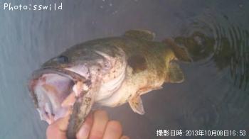 �֥�å��Х�