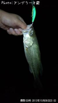 �֥�å��Х�