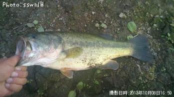 �֥�å��Х�