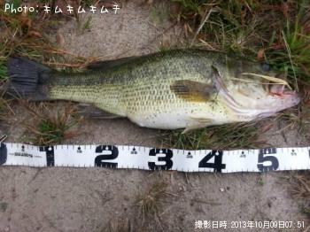 �֥�å��Х�