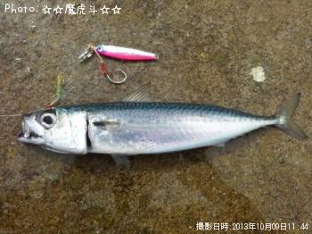 ���ޥ���