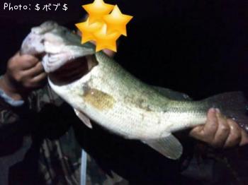 ¥Ö¥é¥Ã¥¯¥Ð¥¹