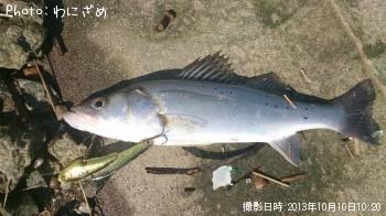 �����ꥯ��