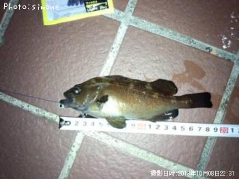 ������Х�