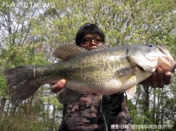 �֥�å��Х�