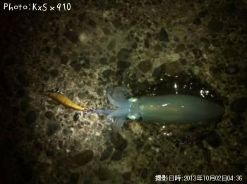 �����ꥤ��