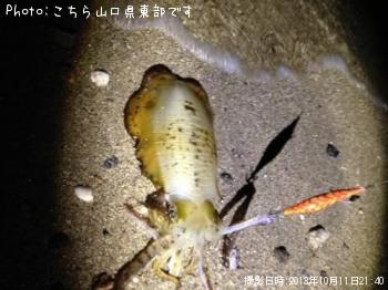 ¥¢¥ª¥ê¥¤¥«