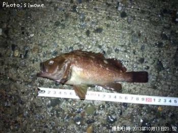 ������Х�