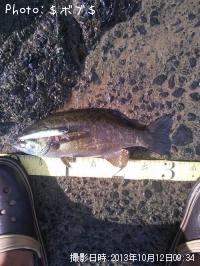 �֥�å��Х��ʥ��⡼��ޥ����Х���