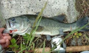 �֥�å��Х�