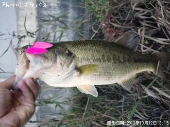 �֥�å��Х�