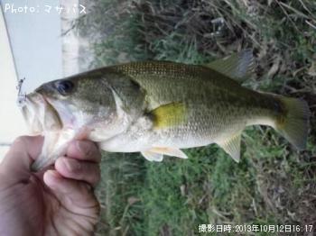 �֥�å��Х�