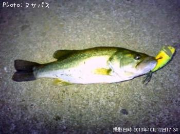 �֥�å��Х�