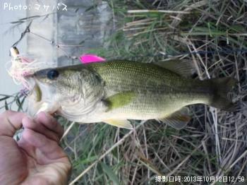 �֥�å��Х�