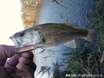 �֥�å��Х�