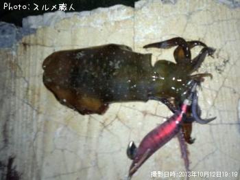 ¥¢¥ª¥ê¥¤¥«