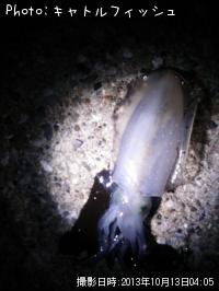 �����ꥤ��