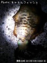 �����ꥤ��