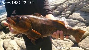 �����ʥ�