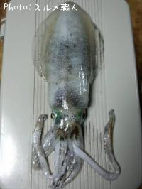 �����ꥤ��