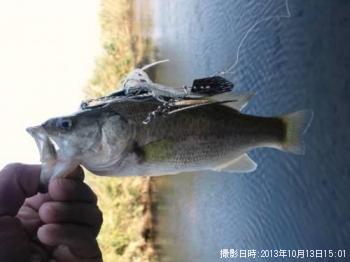 �֥�å��Х�