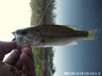 �֥�å��Х�