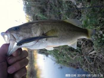 �֥�å��Х�