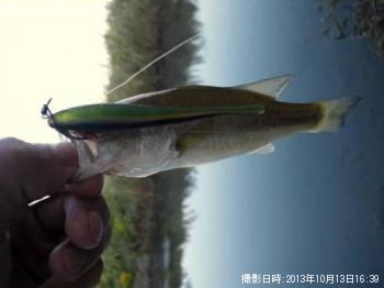 �֥�å��Х�