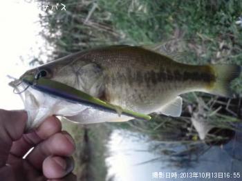 �֥�å��Х�