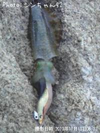 ¥¢¥ª¥ê¥¤¥«