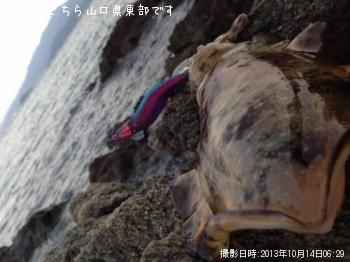 �����ꥤ��