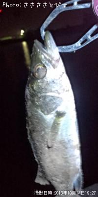 ¥á¥Ð¥ë¡õ¥·¡¼¥Ð¥¹